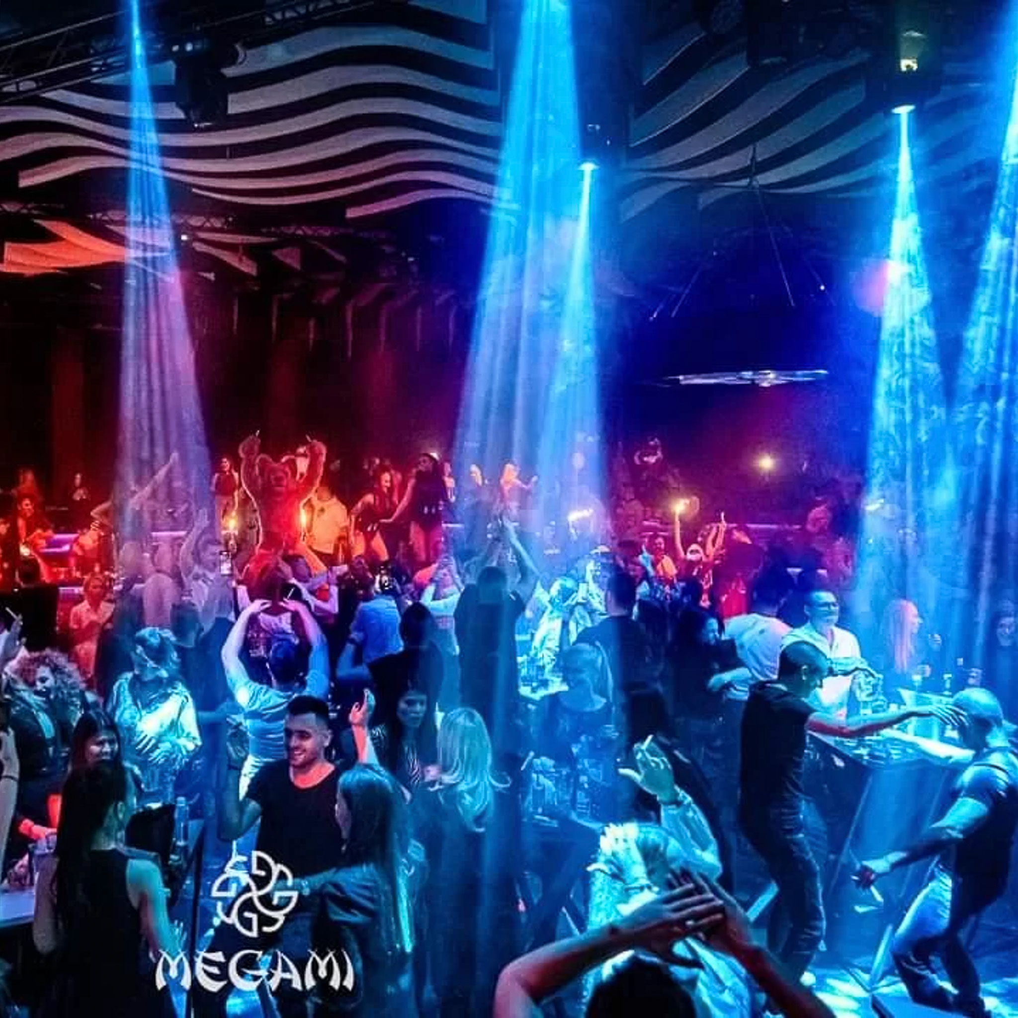 סיקרט סופיה חיי לילה