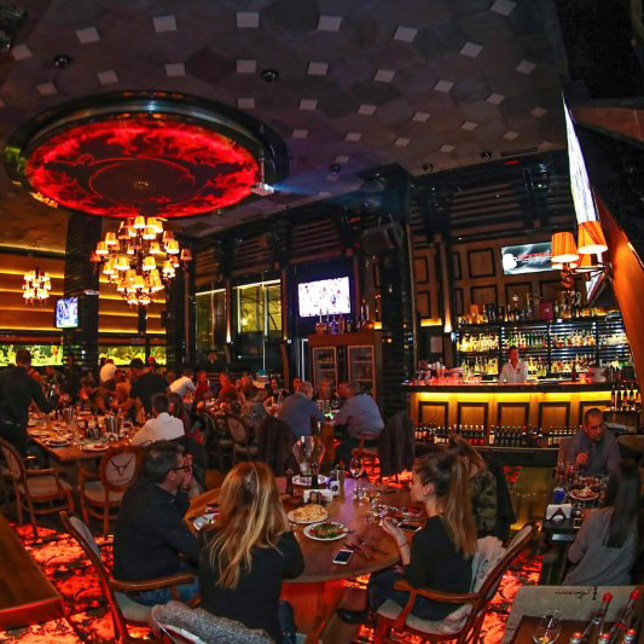 סיקרט סופיה חיי לילה