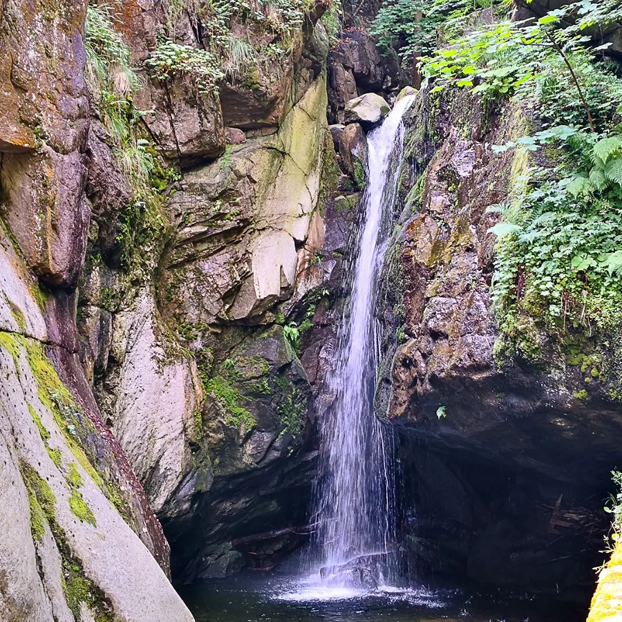 סיקרט סופיה טיולים