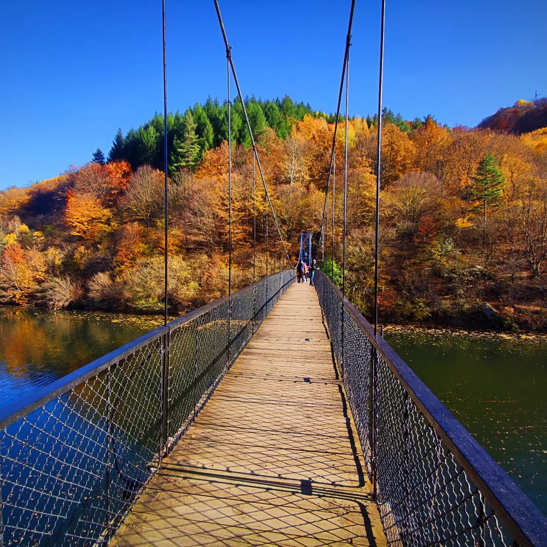 סיקרט סופיה טיולים